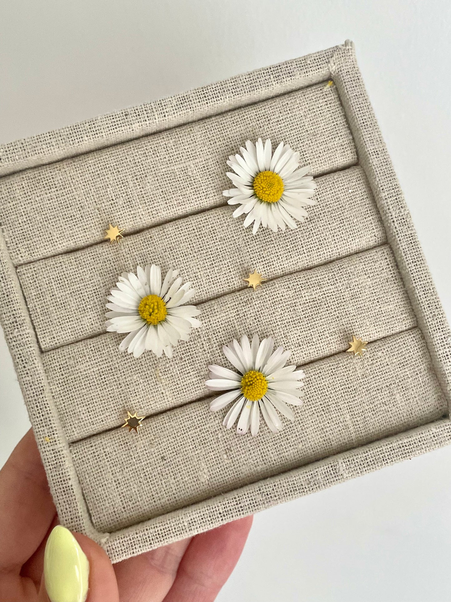 Celestial Studs